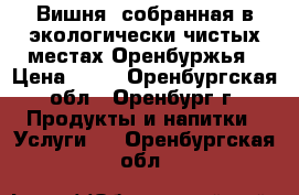 Вишня, собранная в экологически чистых местах Оренбуржья › Цена ­ 40 - Оренбургская обл., Оренбург г. Продукты и напитки » Услуги   . Оренбургская обл.